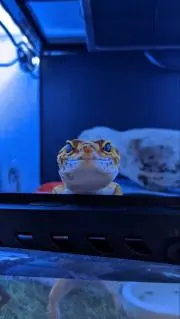 Takuの画像
