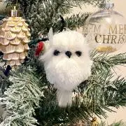 こっこちゃんの画像