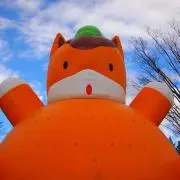 なおたれんの画像