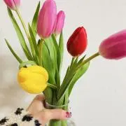ゆかりの画像