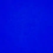 mitzの画像