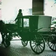 tfal19234の画像