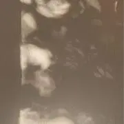 わいの画像