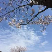 Dの画像