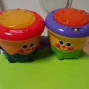 ソイの画像