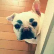 さーき
