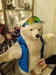 hiyokoの画像