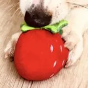 あんころもちの画像