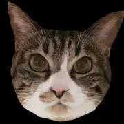 とらみこの画像