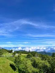 AKOの画像