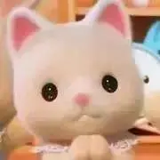 ピカ