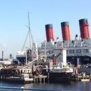 とんかつの画像
