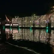 ポコの画像