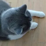 なんでも屋