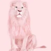 Pink Lion