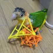 アクアソリタ