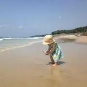 はち