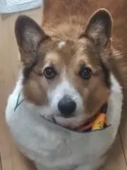 mmtyの画像