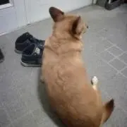 Jin Nomuraの画像