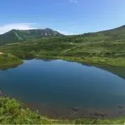 VSH