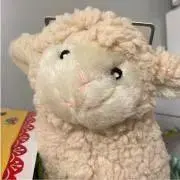 サラダ様専用ページです オーダー ダックスフンド 犬服