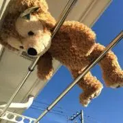 おみの画像