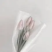 なの画像