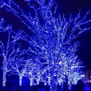 chao  プロフィール必読の画像