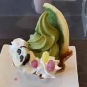 segodonの画像