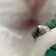 ひろの画像