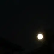 R____