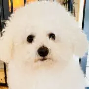 つつつん