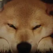 エルク