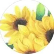 Smile.himawari❁⃘*.゜の画像