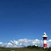 にょの画像