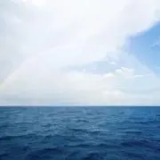.*❁⃘ arcoíris ❁⃘*.゜の画像