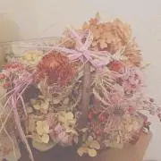 MUUの画像