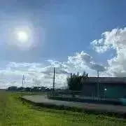 gogo