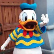 Aliceの画像