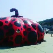 ももたろさんの画像