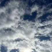 カハルの画像