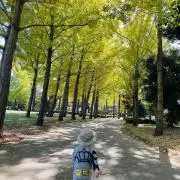 みみの画像