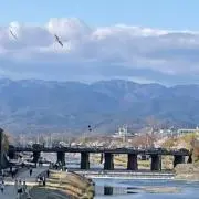 しきの画像