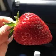 スマイルの画像