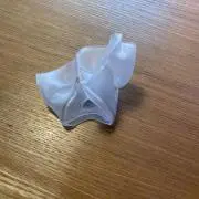 iwanaの画像