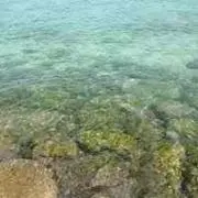 T-K