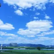 AOの画像
