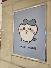 りさの画像
