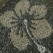 Mamaの画像