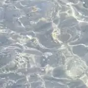 asaの画像